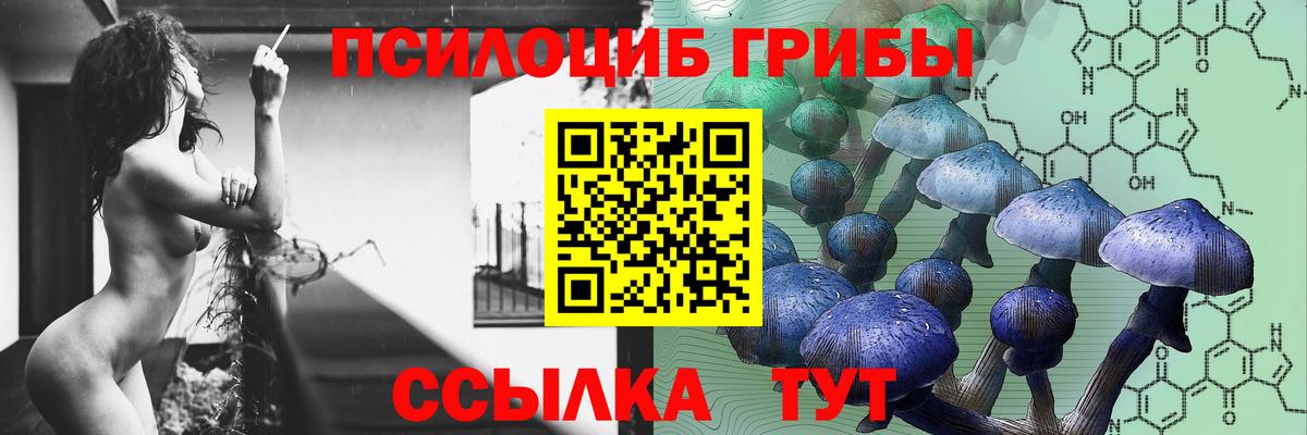 Псилоцибиновые грибы Cubensis Салехард